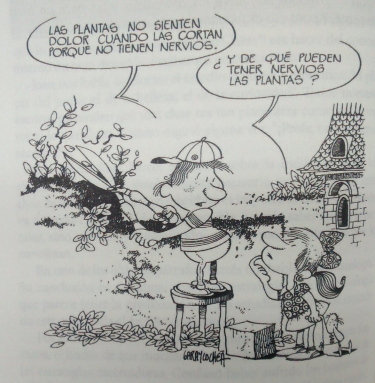 El libro reflexiona sobre la manera idónea de transmitir conocimiento El libro reflexiona sobre la manera idónea de transmitir conocimiento